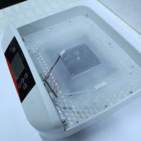 Инкубатор HHD 42A автоматический на 42 яйца