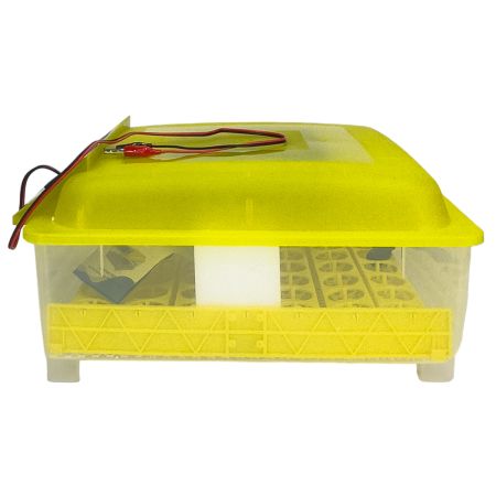 Инкубатор HHD 48 автоматический 220В/12В от сети и аккумулятора на 48 яиц