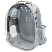 Рюкзак прозрачный для переноски кошек и собак, светло-серый