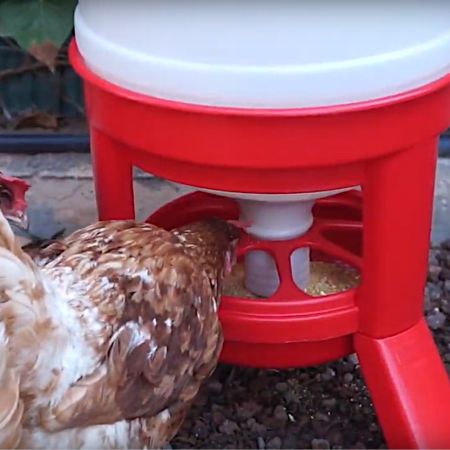 Кормушка бункерная 21 кг пластик с разделительной решеткой на ножках