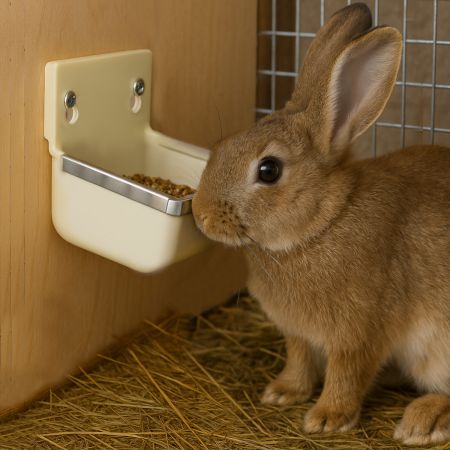 Поилка-кормушка навесная 400 мл