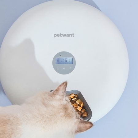 Автокормушка Petwant F6-LCD 6 секций, ж/к дисплей, белая