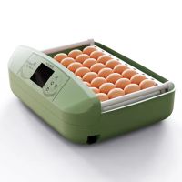Инкубатор HHD 32 Wonegg автоматический для яиц с роликовым лотком, зеленый, на 32 яйца