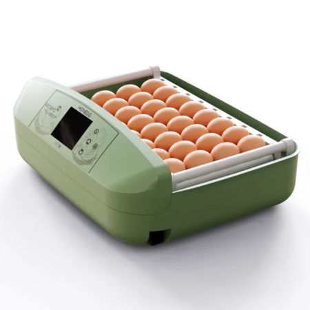 Инкубатор HHD 32 Wonegg автоматический для яиц с роликовым лотком, зеленый, на 32 яйца Инкубатор HHD 32 Wonegg автоматический для яиц с роликовым лотком, зеленый, на 32 яйца