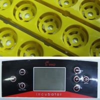 Инкубатор HHD 42 автоматический с овоскопом на 42 яйца