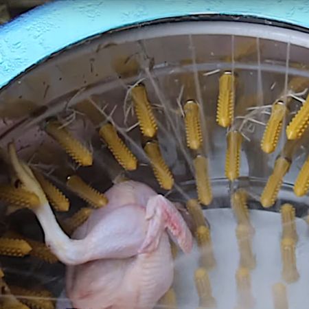 Перосъёмная машина NT-600WF для бройлеров, кур и уток c подачей воды Перосъёмная машина NT-600WF для бройлеров, кур и уток c подачей воды