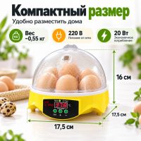 Инкубатор HHD 7 мини автоматический на 7 яиц