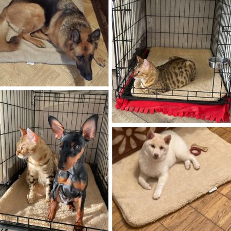 Лежанка коврик для собак Pet Choice 94х70х2 см с клетчатым низом, бежевый