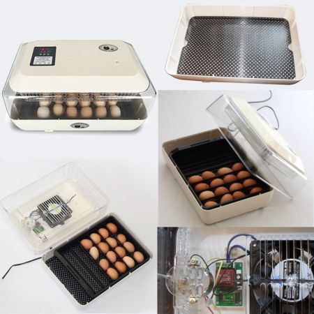 Инкубатор Janoel 24 автоматический  Инкубатор Janoel 24 автоматический