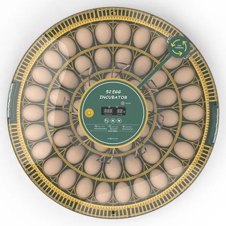 Инкубатор HHD 52H WONEGG автоматический 220В/12В от сети и аккумулятора, с овоскопом на 52 яйца