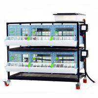 Брудер для цыплят CB25 3 секции, 2 яруса, пластиковый