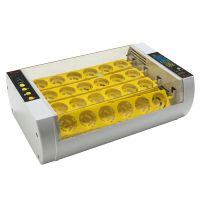 Инкубатор HHD 24 автоматический на 24 яица