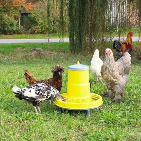 Кормушка бункерная COMPACTA 8.5 кг пластик с разделительной решеткой