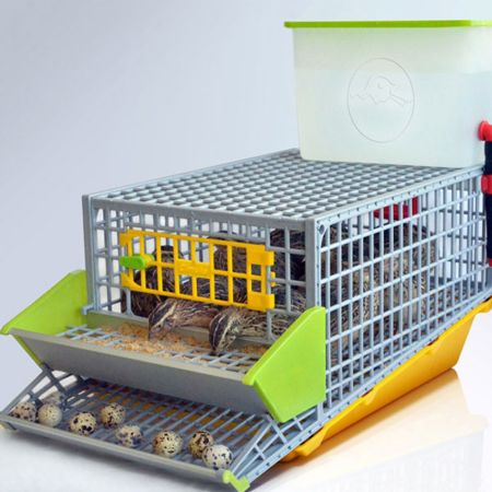 Клетка Comfortplast для перепелов mini с яйцесборником 28x61x46 см, пластиковая