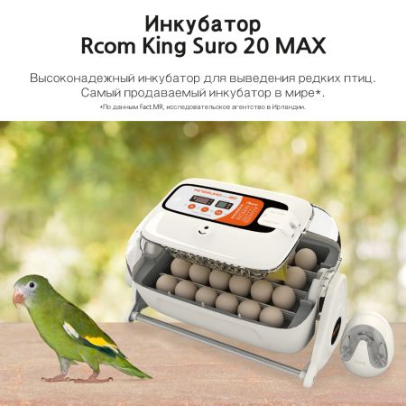 Инкубатор Rcom King Suro 20 MAX автоматический для яиц Инкубатор Rcom King Suro 20 MAX автоматический для яиц