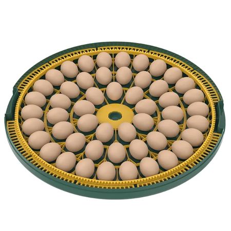 Инкубатор HHD 52H WONEGG автоматический 220В/12В от сети и аккумулятора, с овоскопом на 52 яйца