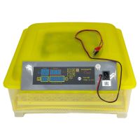 Инкубатор HHD 48 автоматический 220В/12В от сети и аккумулятора на 48 яиц