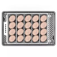 Инкубатор HHD 20 автоматический с овоскопом на 20 яиц