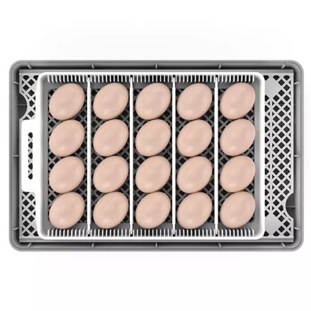 Инкубатор HHD 20 автоматический с овоскопом на 20 яиц