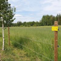 Шнур для электропастуха Olli Shockteq 3 мм / 1000 м / 0,98 Ω многожильный Super-6, 