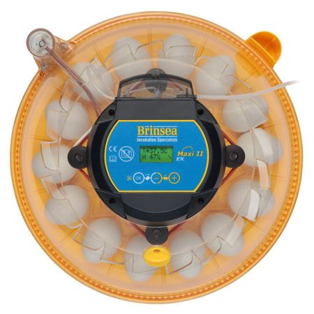 Инкубатор Brinsea Maxi II EX 14 автоматический для яиц