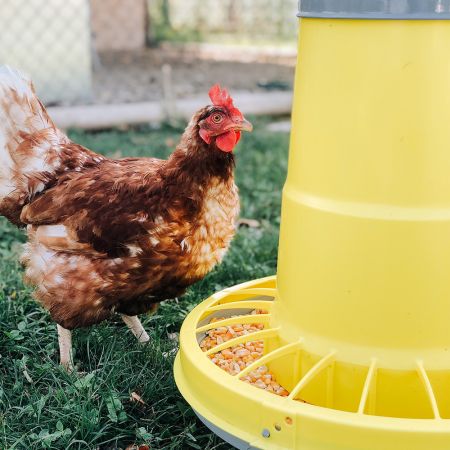 Кормушка бункерная COMPACTA 8.5 кг пластик с разделительной решеткой