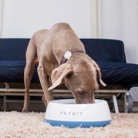 Миска-весы Petkit FRESH Metal 1700 мл для собак, голубая