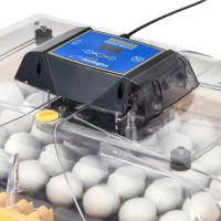 Инкубатор Brinsea Ovation 56 Zoologica Инкубатор Brinsea Ovation 56 Zoologica