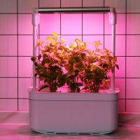 Гидропонная установка HobbyFarm Mini DQ6200-LB-6, домашний умный смарт сад, 6 ячеек, с фитолампой