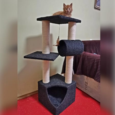 Когтеточка-комплекс 35х35х105 см, черный