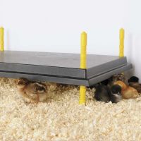 Панель обогревательная Comfort 40х60 см 56 Вт для цыплят