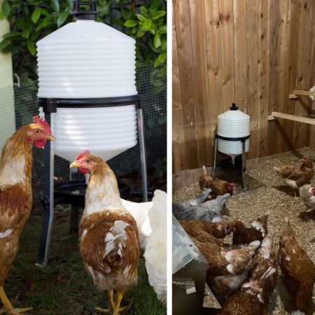 Поилка сифонная 24 л для крупных птиц уток, гусей, индеек, металлические ножки