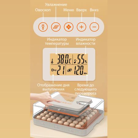Инкубатор HHD 56H автоматический с контролем влажности и овоскопом на 220В/12В от сети и аккумулятора на 56 яиц