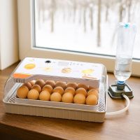 Инкубатор HHD 20 автоматический с овоскопом на 20 яиц