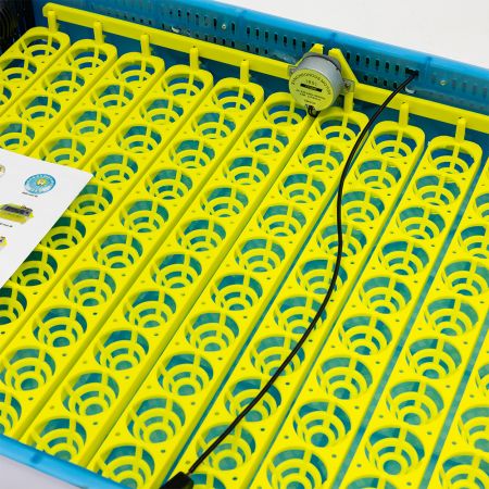 Инкубатор HHD Blue Star 120 автоматический на 120 яиц