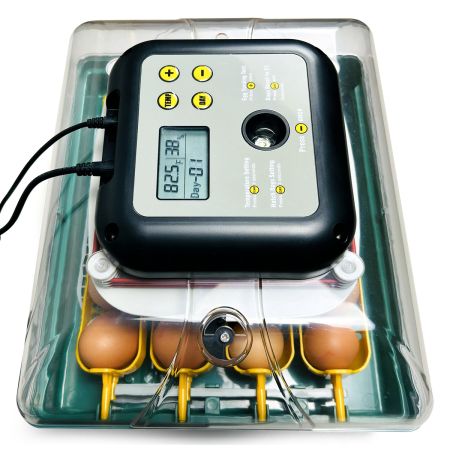 Инкубатор для яиц автоматический Des Champs EU PROFI C-24 с овоскопом на 24 куриных яйца