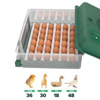 Инкубатор для яиц автоматический Des Champs ECO PROFI C-36 от сети и аккумулятора с роликовым лотком и овоскопом на 36 яиц