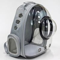 Рюкзак прозрачный с иллюминатором для переноски кошек и собак, светло-серый