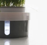 Автопоилка фонтан для кошек и собак Petwant PW-101 3 л с отделением для корма или травы Автопоилка фонтан для кошек и собак Petwant PW-101 3 л с отделением для корма или травы