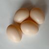 Подкладное яйцо для кур 1 шт.