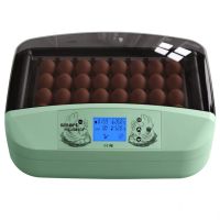 Инкубатор HHD 32 Wonegg автоматический для яиц с роликовым лотком, зеленый, на 32 яйца