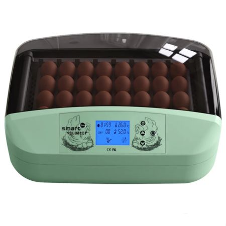 Инкубатор HHD 32 Wonegg автоматический для яиц с роликовым лотком, зеленый, на 32 яйца Инкубатор HHD 32 Wonegg автоматический для яиц с роликовым лотком, зеленый, на 32 яйца