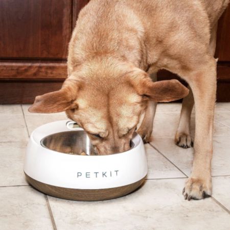 Миска-весы Petkit FRESH Metal 1700 мл для собак, оранжевая