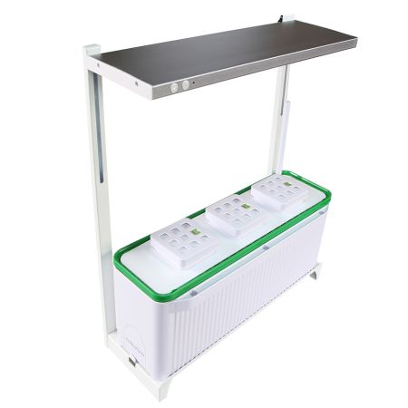 Гидропонная установка HobbyFarm DQ62003, домашний умный смарт сад, 3 ячейки с фитолампой