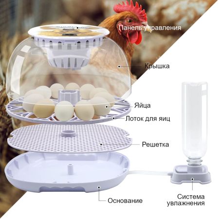 Инкубатор HHD 12 Wonegg мини автоматический на 12 яиц