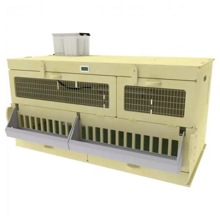 Брудер для цыплят HobbyFarm деревянный с лаковым покрытием