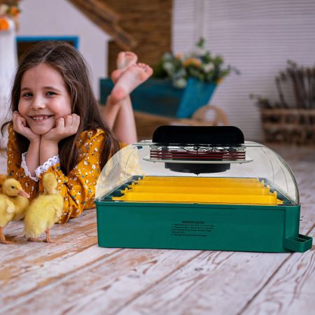 Инкубатор для яиц автоматический Des Champs EU PROFI C-24 с овоскопом на 24 куриных яйца