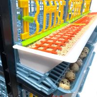 Дополнительный ярус клетки Comfortplast для перепелов с яйцесборником 98х61х35 см пластиковый