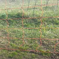 Сеть электрическая для овец Olli, 90 см / 50 м