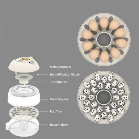 Инкубатор Rcom 10 PRO Plus с овоскопом и помпой, автоматический для яиц